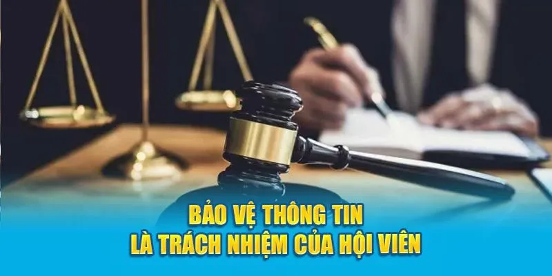 Những trách nhiệm cao cả của người chơi tại 789bet