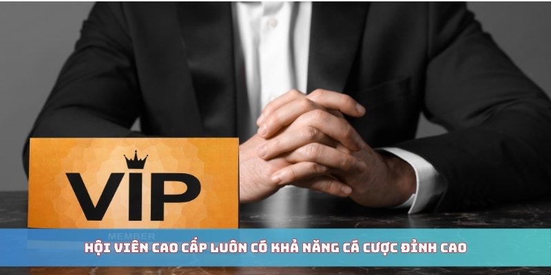 Hội viên cao cấp luôn có khả năng cá cược đỉnh cao