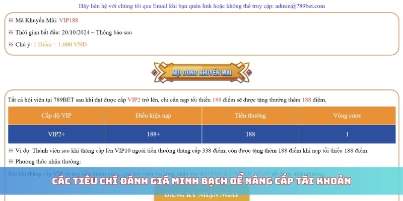 Các tiêu chí đánh giá minh bạch để nâng cấp tài khoản